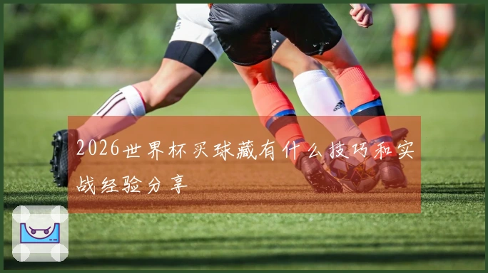 2026世界杯买球藏有什么技巧和实战经验分享