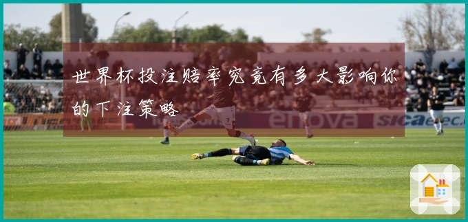世界杯投注赔率究竟有多大影响你的下注策略