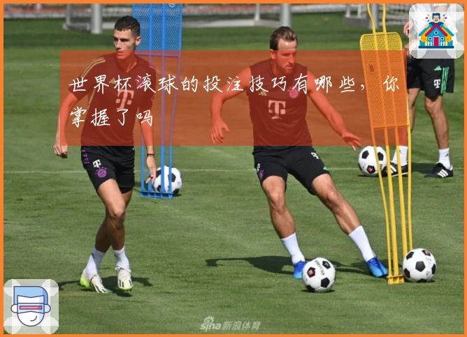 世界杯滚球的投注技巧有哪些，你掌握了吗