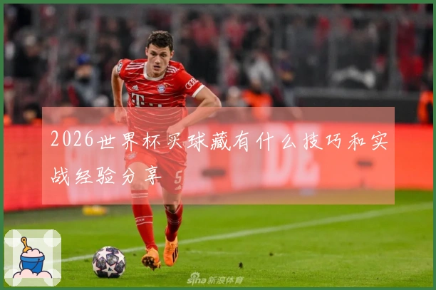 2026世界杯买球藏有什么技巧和实战经验分享