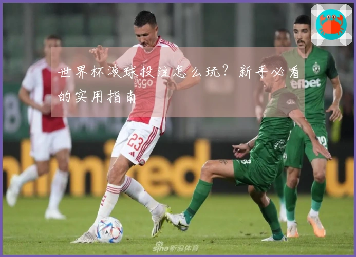 世界杯滚球投注怎么玩？新手必看的实用指南