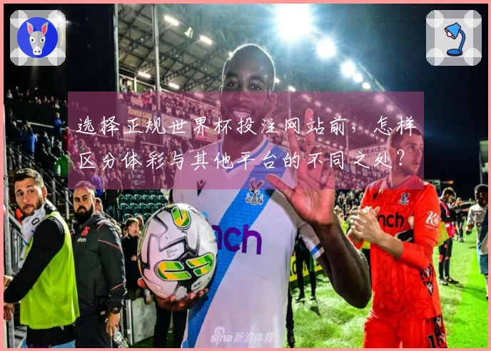 选择正规世界杯投注网站前，怎样区分体彩与其他平台的不同之处？