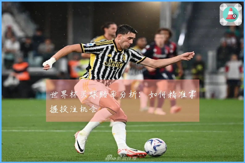 世界杯买球赔率分析：如何精准掌握投注机会