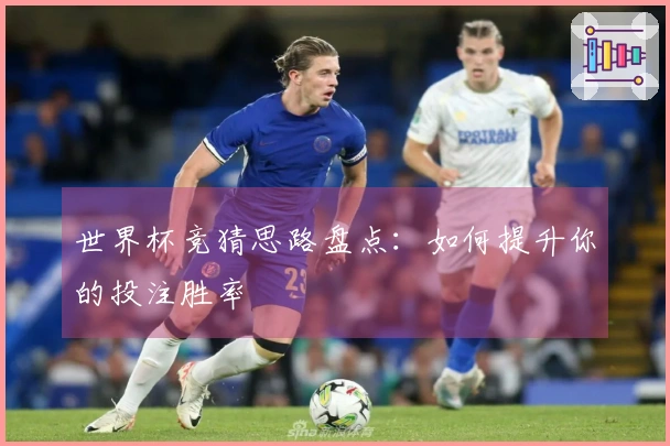世界杯竞猜思路盘点：如何提升你的投注胜率