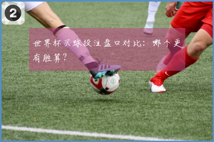世界杯买球投注盘口对比：哪个更有胜算？