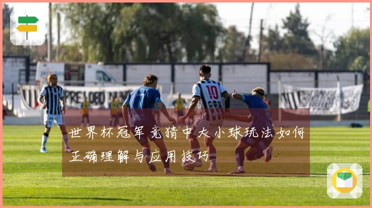 世界杯冠军竞猜中大小球玩法如何正确理解与应用技巧