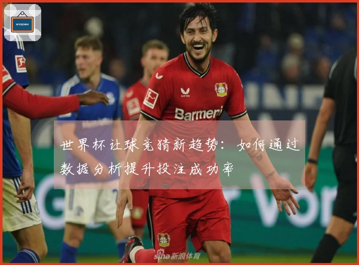 世界杯让球竞猜新趋势：如何通过数据分析提升投注成功率