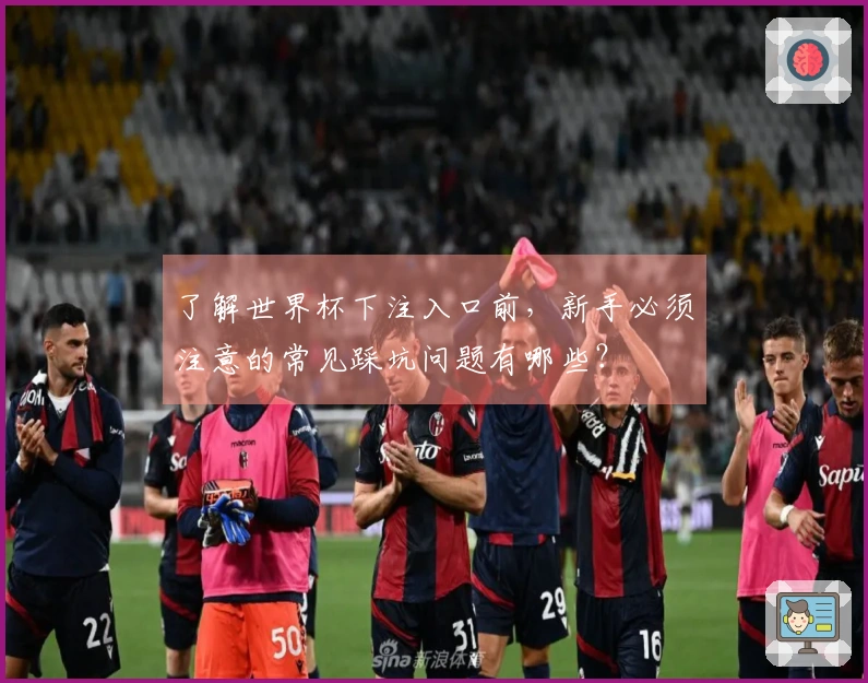了解世界杯下注入口前，新手必须注意的常见踩坑问题有哪些？