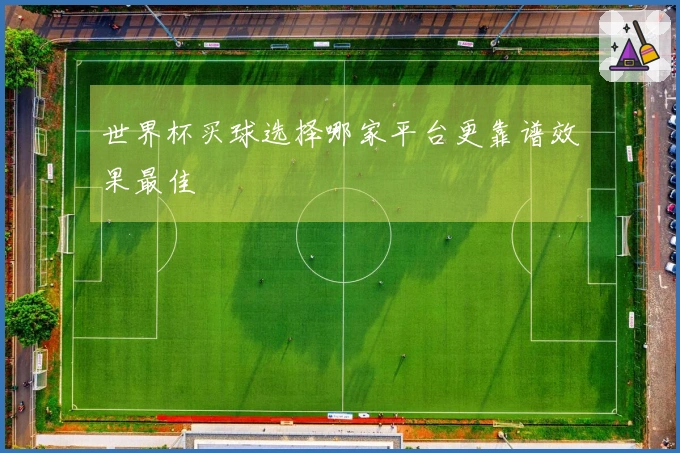 世界杯买球选择哪家平台更靠谱效果最佳