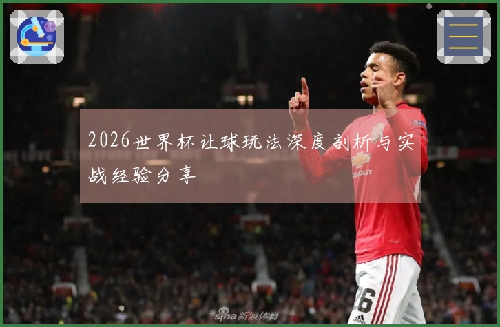 2026世界杯让球玩法深度剖析与实战经验分享