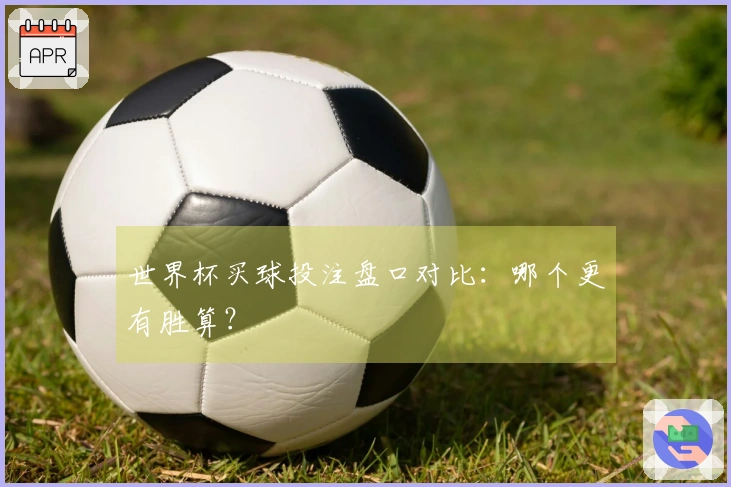 世界杯买球投注盘口对比：哪个更有胜算？